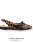 Zapatos Cafe Negro Balerinas Mujer Punta Fina Clasicas Con Moño Dama 4930017