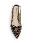 Zapatos Cafe Negro Balerinas Mujer Punta Fina Clasicas Con Moño Dama 4930017