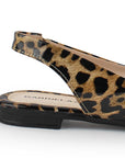 Zapatos Cafe Negro Balerinas Mujer Punta Fina Clasicas Con Moño Dama 4930017