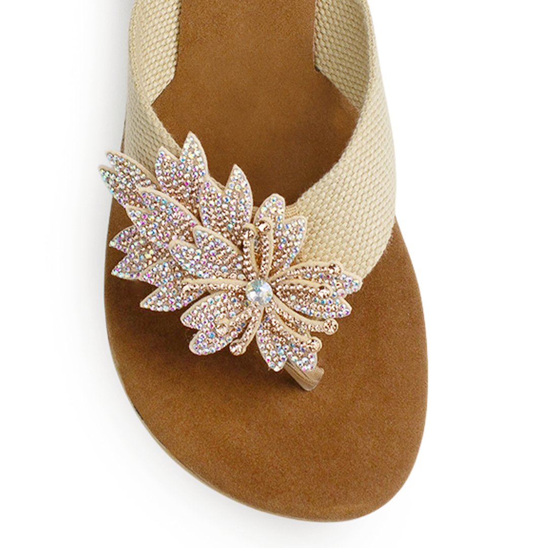 Sandalia Cafe Flor de Pedreria Mujer Moda Verano Elegante 3201430